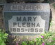  Mary Plesha
