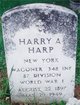  Harry Harp