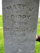  Mary Jane <I>Foster</I> Rippy