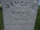  James A. Rippy