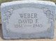  David F Weber