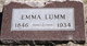  Emma <I>Newton</I> Lumm
