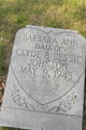  Barbara Ann Johnson