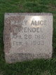  Mary Alice <I>Winkler</I> Brendel