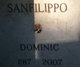  Dominic Frank Sanfilippo