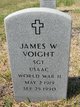  James W Voight