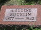  Arthur Eugene Bucklin