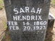  Sarah Ann <I>Cobb</I> Hendrix