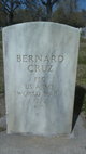  Bernard Cruz