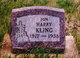  Harry Kling