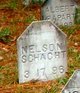  Nelson Schacht