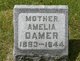  Amelia <I>Young</I> Damer
