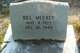  Bill Mulkey