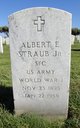  Albert Edward Straub Jr.