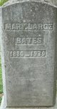  Mary <I>Large</I> Bates