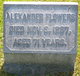  Alexander Flowers