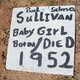  Baby Girl Sullivan