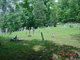 Cutlipsville Cemetery