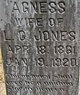 Agnes Jones