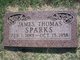  James Thomas Sparks