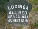  Lucinda Allred