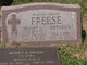  Henry L Freese