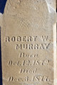  Robert White Murray