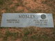  Paul Wesley Mosley