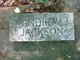  Andrew Jackson McKinney