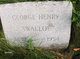  George Henry Swallop