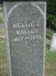  Nellie J Walker