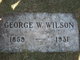  George W Wilson