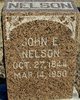  John E Nelson