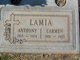  Anthony Lamia