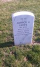  Janice Ann <I>Defoe</I> Lowe