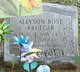  Allyson Rose Krueger