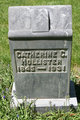  Catherine Christina <I>Flansburgh</I> Hollister