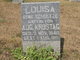  Louisa <I>Schultz</I> Krostag