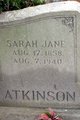  Sara Jane <I>Hales</I> Atkinson