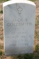  Jack E Goldsmith