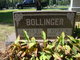  Netha May <I>Rodebaugh</I> Bollinger