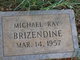 Michael Ray Brizendine