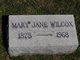  Mary Jane “Jennie” <I>Owens</I> Wilcox