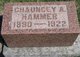  Chauncey Allen Hammer