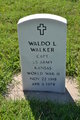 Capt Waldo Lee Walker