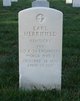 Pvt Earl P Merrifield