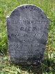  William Nathaniel Willits