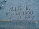  Allie Lee <I>Hidler</I> Erwin