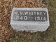  William Henry Whitney