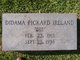  Didama <I>Pickard</I> Ireland